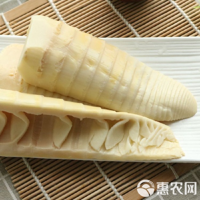 廠家直銷清水冬筍口感脆嫩散裝清汁筍割
